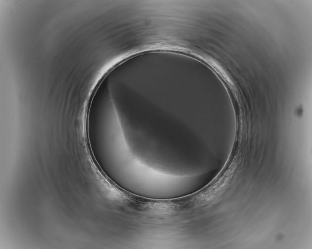 X0000099421246200805161038