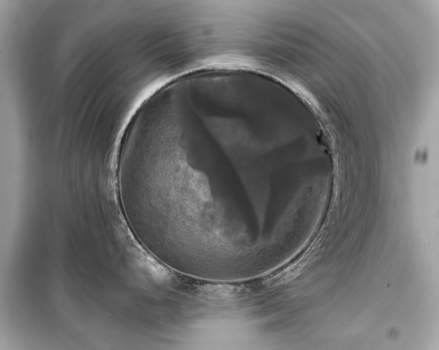 X0000099421248200805161038