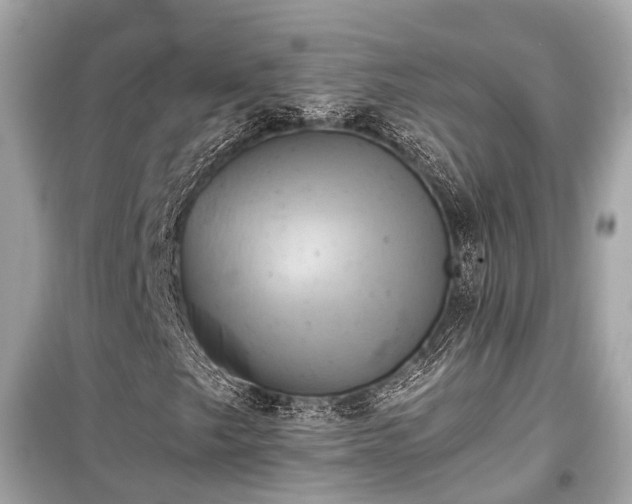 X0000099421249200805161037