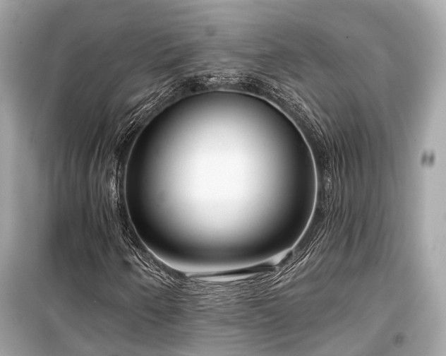 X0000099421250200805161037