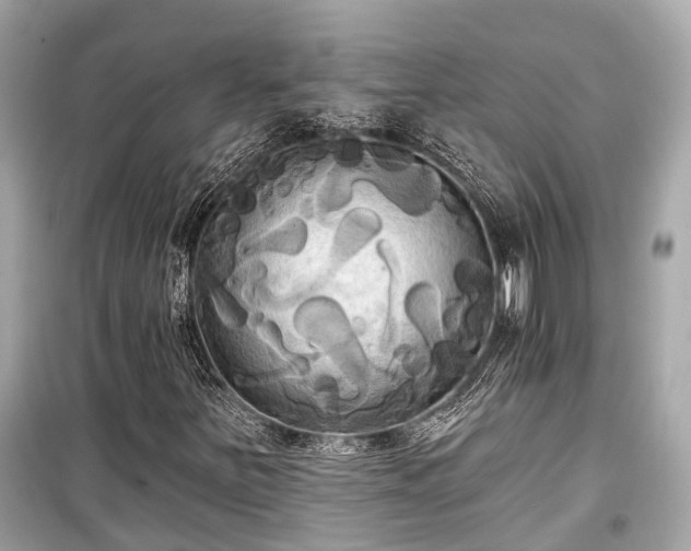 X0000099421251200805161037