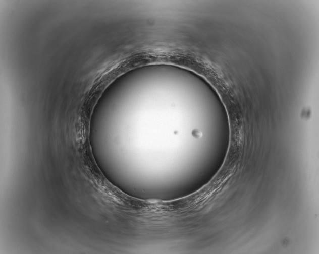X0000099421253200805161037