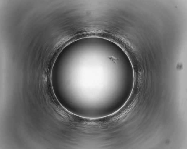 X0000099421257200805161037