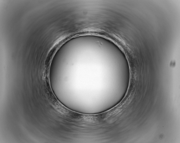X0000099421258200805161037
