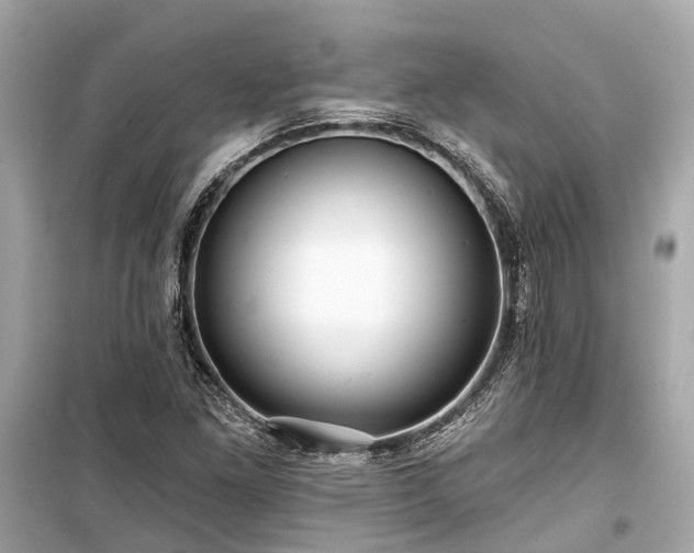 X0000099421261200805161037