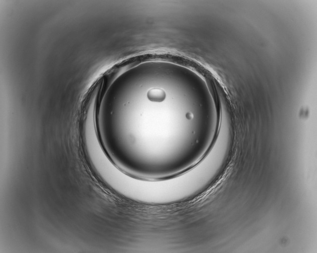 X0000099421263200805161037