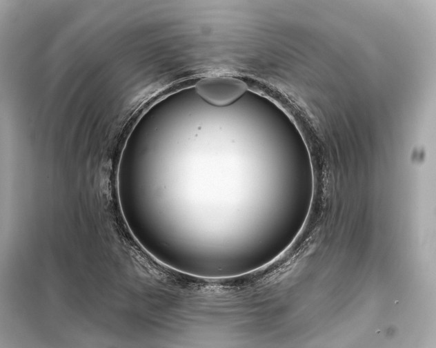 X0000099421265200805161037