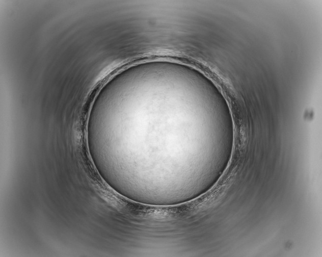 X0000099421266200805161037