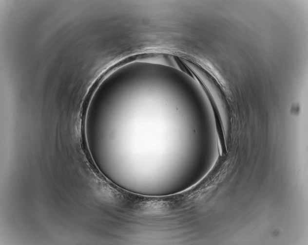 X0000099421268200805161037