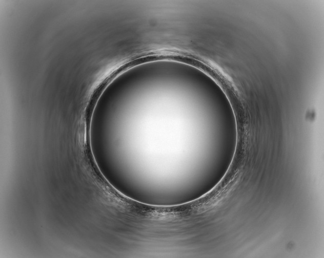 X0000099421269200805161037