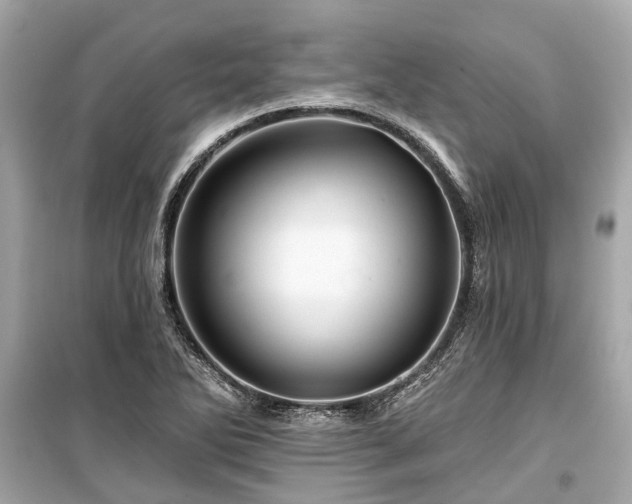 X0000099421270200805161037