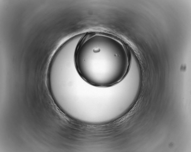 X0000099421272200805161037