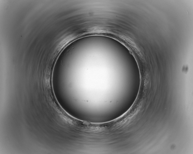X0000099421273200805161037