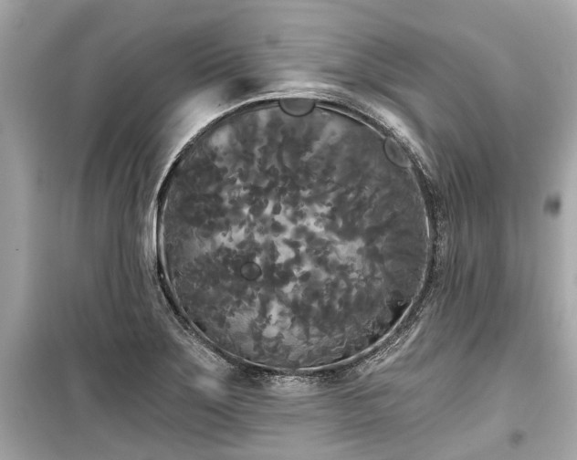 X0000099421275200805161037