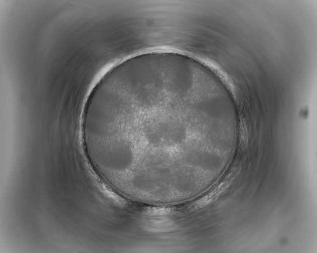 X0000099421278200805161037