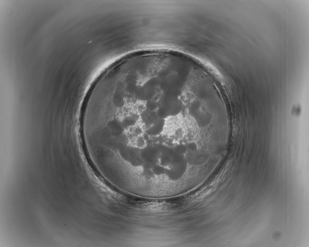 X0000099421279200805161037