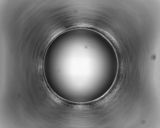 X0000099421281200805161037