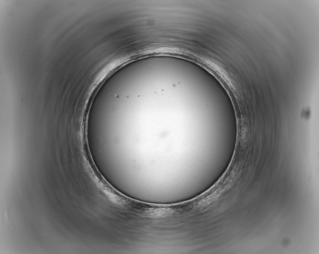 X0000099421282200805161037