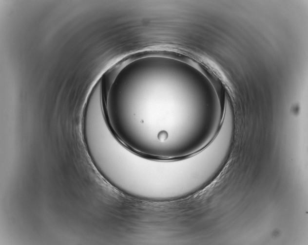 X0000099421284200805161037