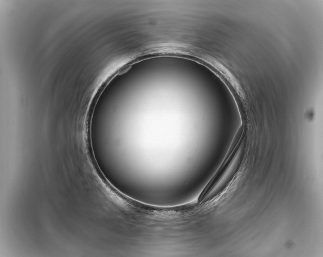 X0000099421285200805161037