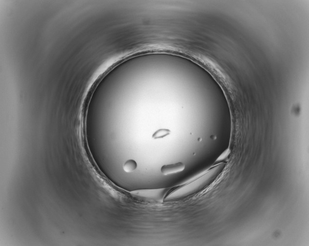 X0000099421286200805161037