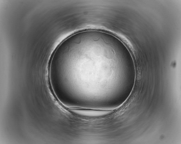 X0000099421287200805161037