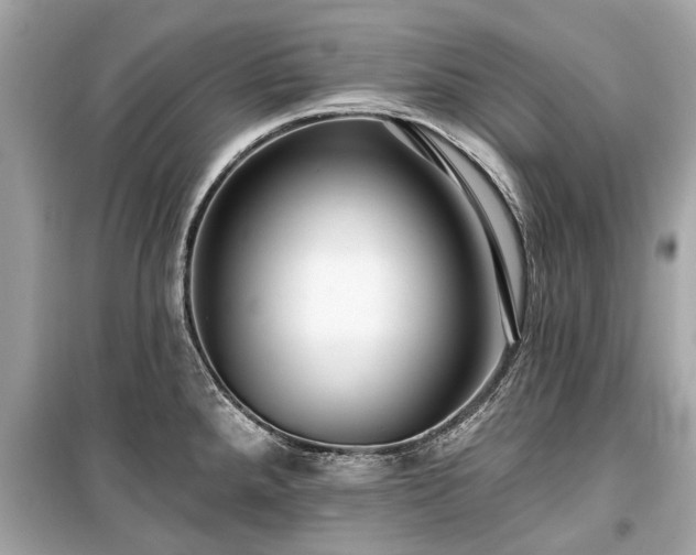 X0000099421288200805161037
