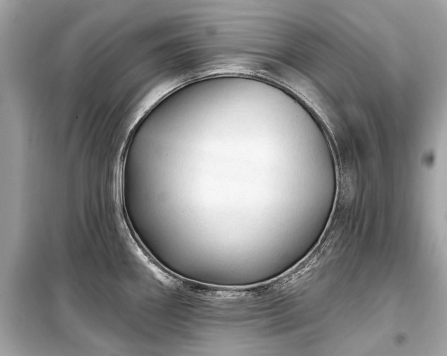 X0000099421290200805161037