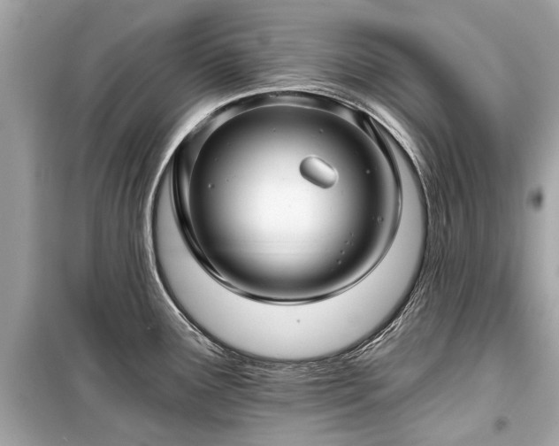 X0000099421291200805161037