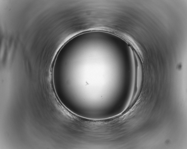 X0000099421292200805161037