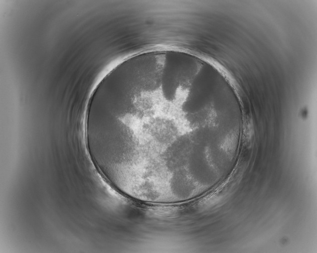 X0000099421294200805161037