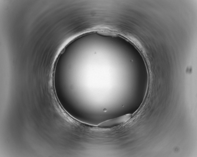 X0000099421296200805161037