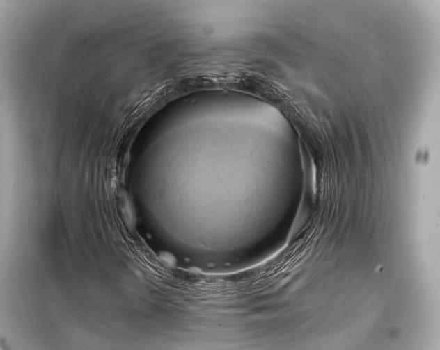 X0000099421298200805161036