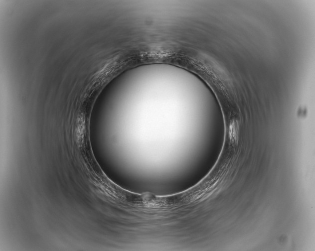 X0000099421299200805161036