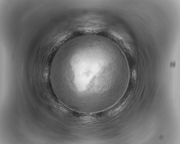 X0000099421300200805161036