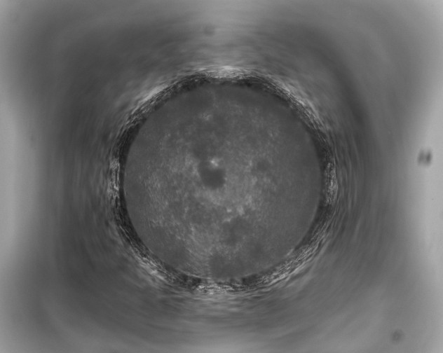 X0000099421301200805161036