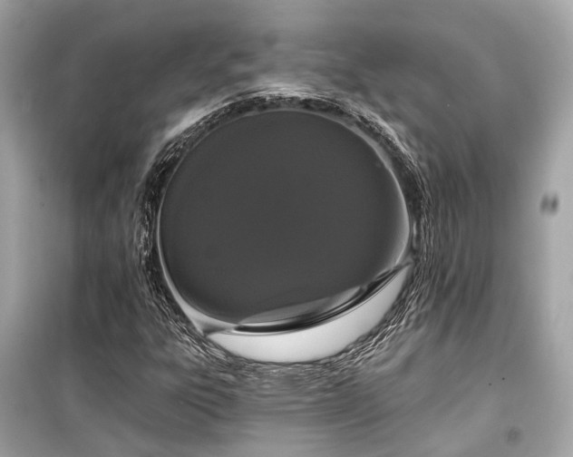 X0000099421303200805161036