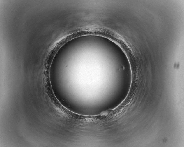 X0000099421304200805161036