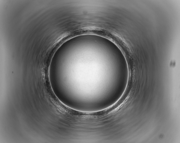X0000099421305200805161036