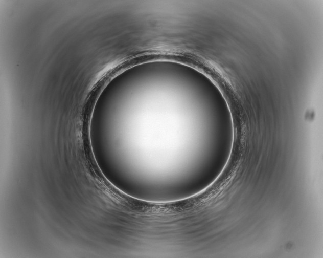X0000099421307200805161036