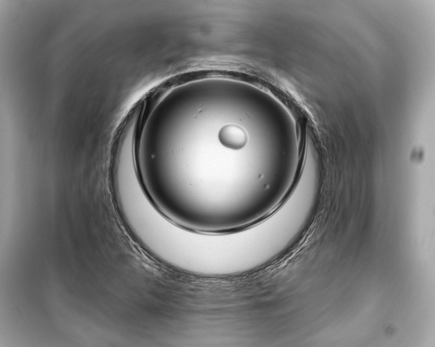 X0000099421312200805161036