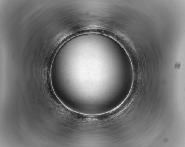 X0000099421313200805161036