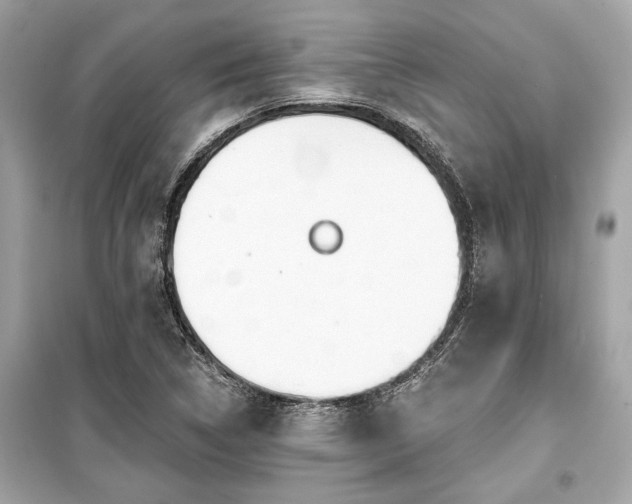X0000099421314200805161036