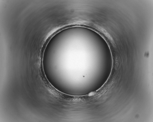 X0000099421316200805161036