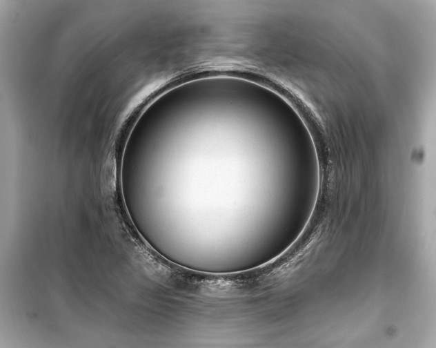 X0000099421317200805161036