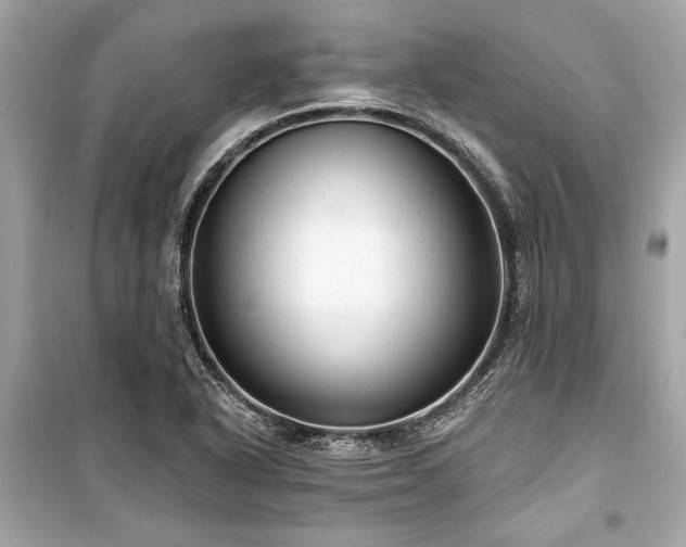 X0000099421318200805161036