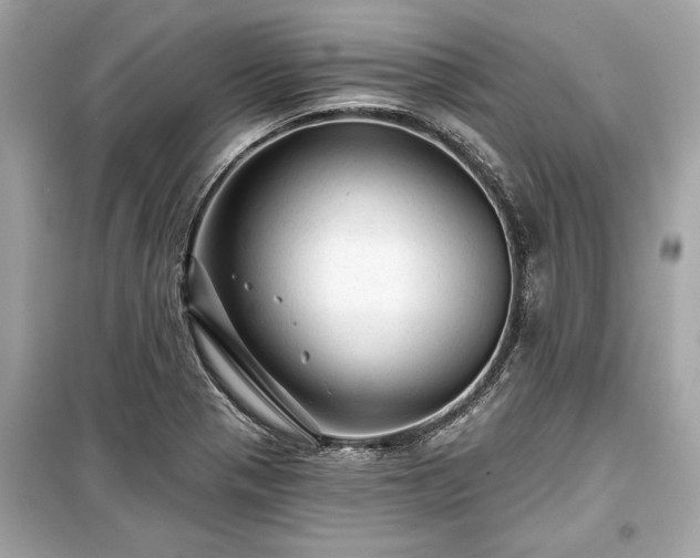 X0000099421321200805161036