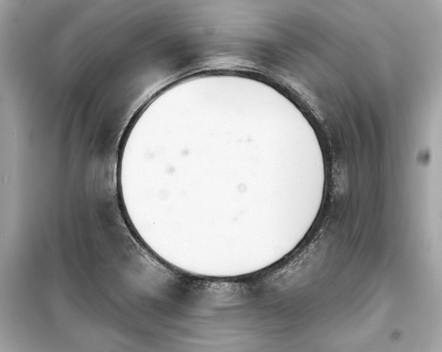 X0000099421322200805161036