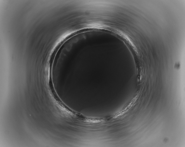 X0000099421323200805161036
