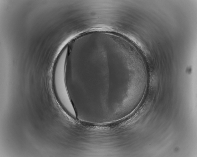 X0000099421325200805161036
